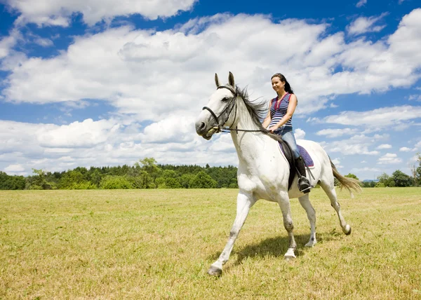 Equestrian on horseback — Stock Photo, Image