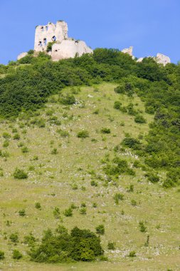 Ruins of Turniansky Castle clipart