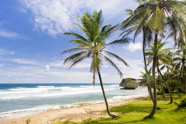 Bathsheba, Barbados 'un doğu kıyısı, Karayipler