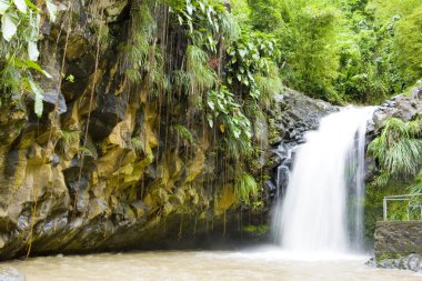 Annadale Falls, Grenada clipart