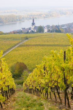 Oppenheim, rheingau, Almanya