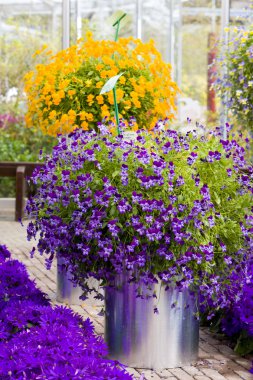 Flower bouquets, Keukenhof Gardens, Lisse, Netherlands clipart