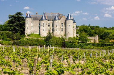 Luynes Castle with vineyard, Indre-et-Loire, Centre, France clipart