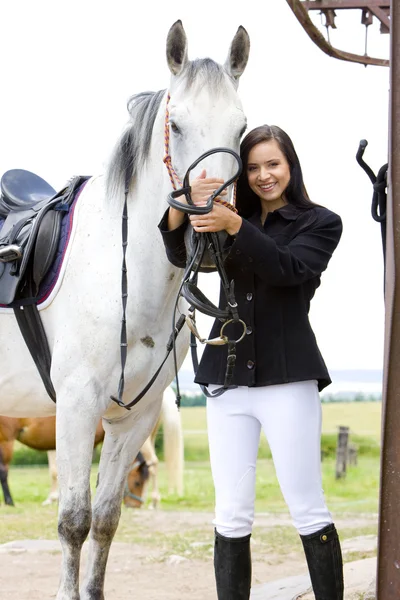 Equestrian with horse — Stock Photo, Image