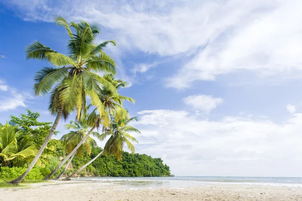 La Sagesse Bay, Grenada — Stock Fotó