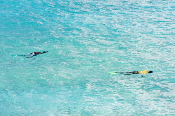 Mergulho com snorkel, costa sul de Barbados, Caribe — Fotografia de Stock