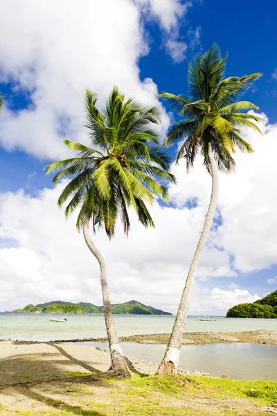 Batteaux Bay, Tobago — Stockfoto