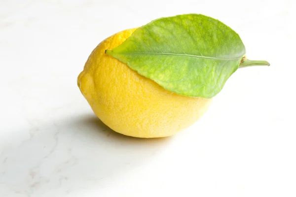 Zitrone mit Blatt — Stockfoto