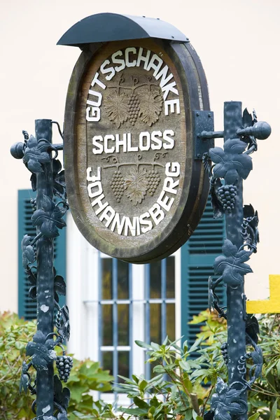 Johannisberg palace, hessen, Tyskland — Stockfoto