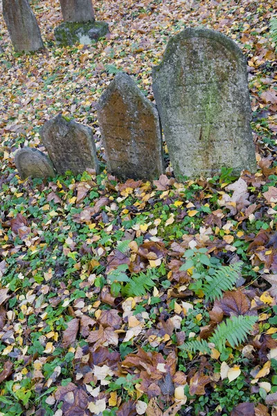 Еврейское кладбище, Тршебич, Чехия — стоковое фото