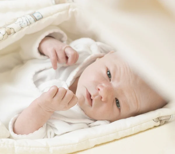 Bebek portre — Stok fotoğraf