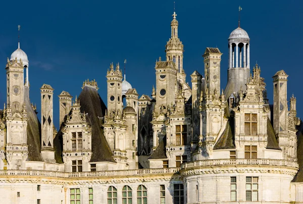 Chambord castle'nın detay, loir-et-cher, Merkezi, Fransa — Stok fotoğraf
