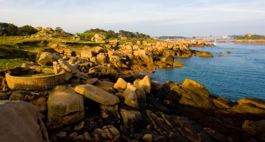 Coast, Ploumanac'h, Brittany, France clipart