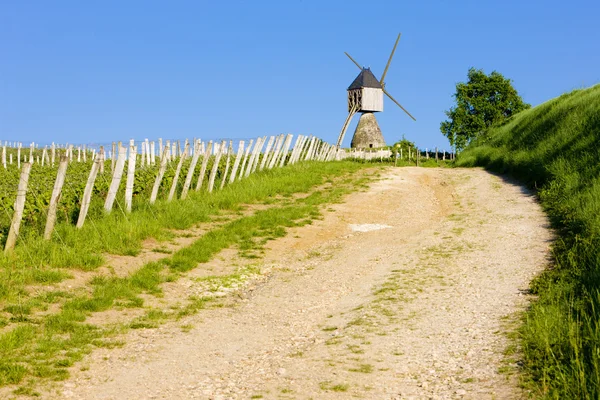 Windmühle und Weinberg in der Nähe von montsoreau, pays-de-la-loire, Frankreich — Stockfoto