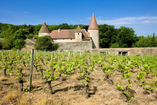 Burgundia, Francja — Zdjęcie stockowe