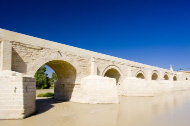 Roman bridge, Cordoba, Andalusia, Spain clipart