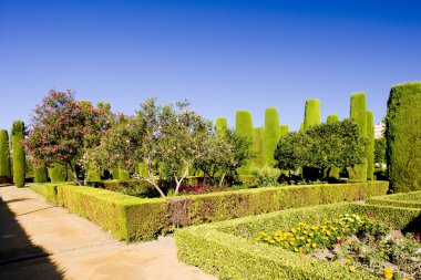 Katolik krallar, alcazar bahçeleri cordoba