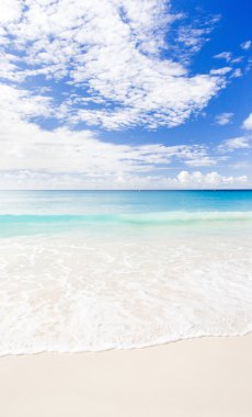 Kurumsal beach, barbados, Karayipler