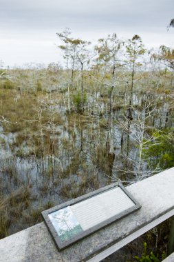 Everglades National Park, Florida, USA clipart