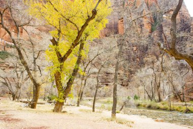 Zion National Park, Utah, USA clipart