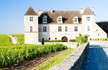 Clos blanc de vougeot Kalesi, Burgonya, Fransa