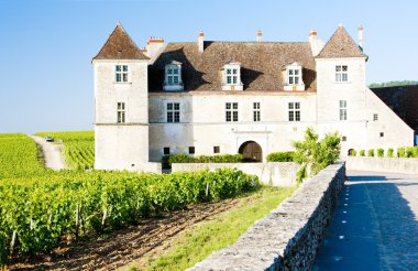 Clos Blanc De Vougeot Castle, Burgundy, France clipart