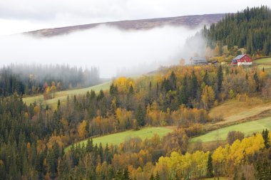 Bölge jotunhejme Milli Parkı, Norveç