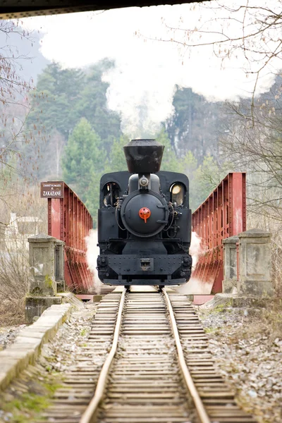 stock image Steam locomotive