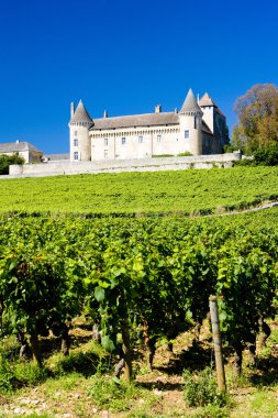 Üzüm bağı olan Chateau de Rully, Burgundy, Fransa