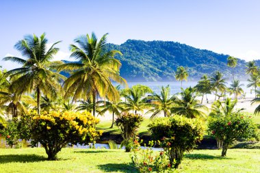 marakas bay, trinidad