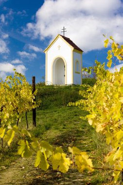 Chapel near Hnanice, Znojmo Region, Czech Republic clipart