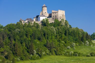 Stara Lubovna Castle, Slovakia clipart