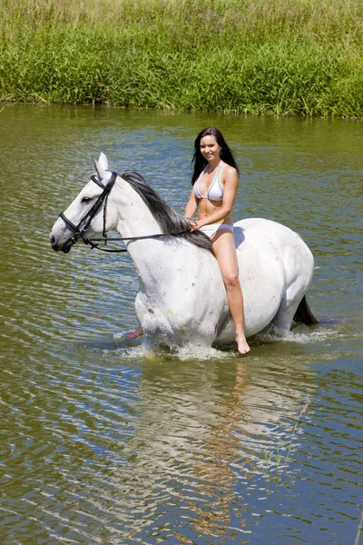 Equitación a caballo a través del agua —  Fotos de Stock