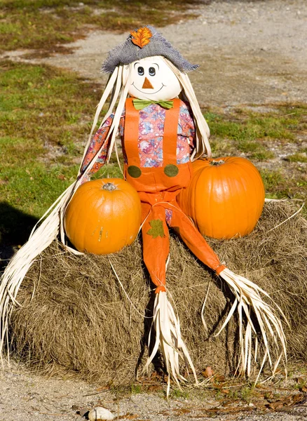 Halloween in Maine, USA — Stock Photo, Image