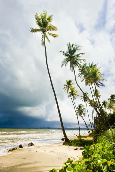 Zatoki wyspy kokosowe, trinidad — Zdjęcie stockowe