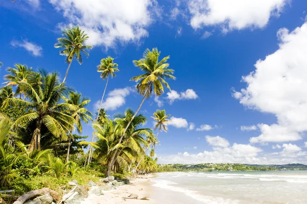 Rockly Bay, Tobago — Stockfoto