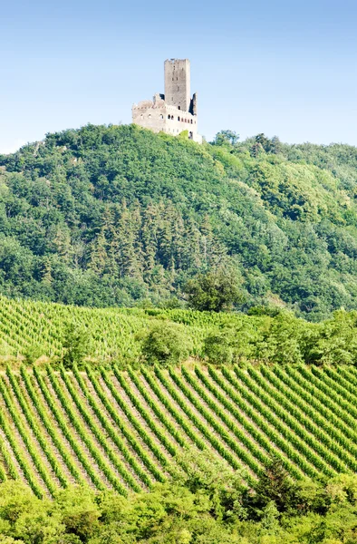 Viñedos con castillo Ortenbourg, Alsacia, Francia —  Fotos de Stock