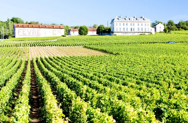 Bourgogne, Frankrike — Stockfoto