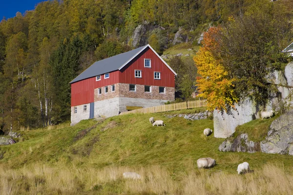 Kvaevemoen, Norway — Stock Photo, Image