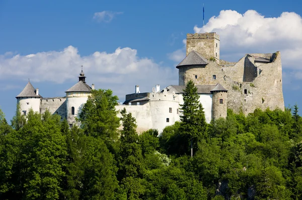 Niedzica castle, Polen — Stockfoto