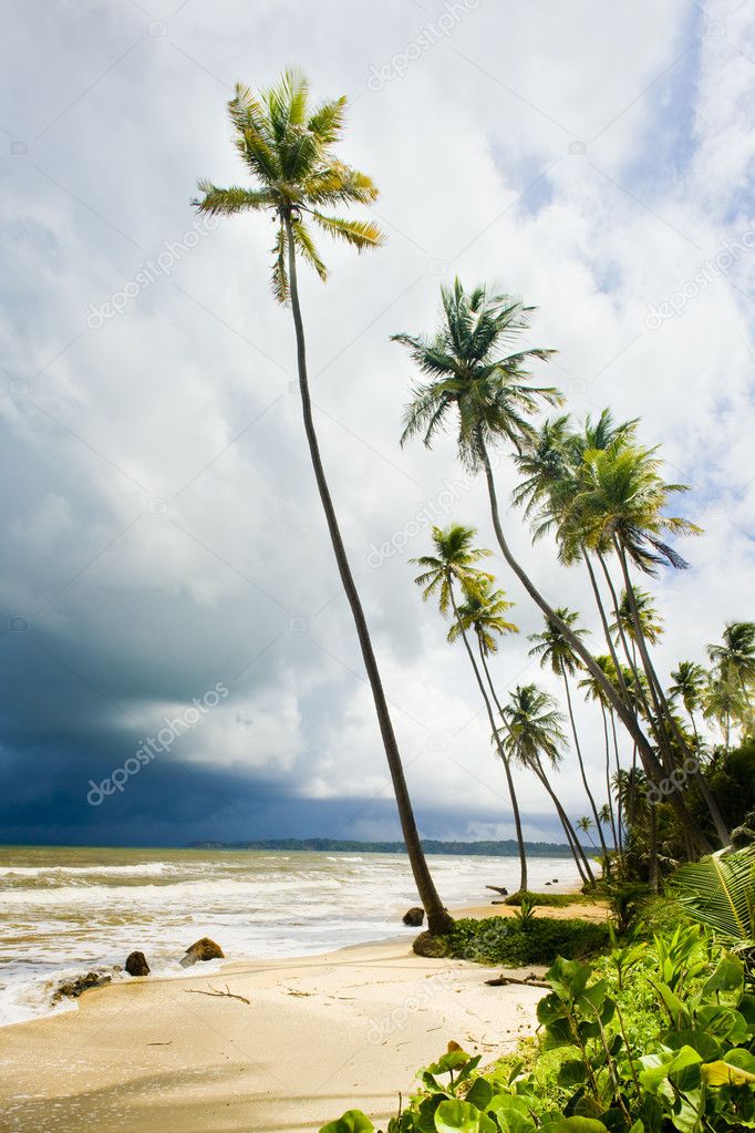 Cocos Bay, Trinidad