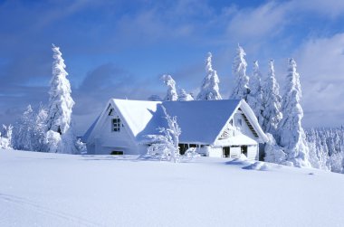 Cottage in winter, Orlicke hory, Czech Republic clipart