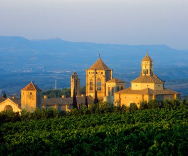 Poblet Monastery clipart