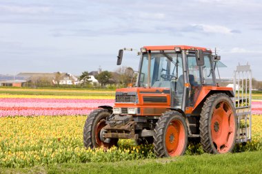 Tractor, Netherlands clipart