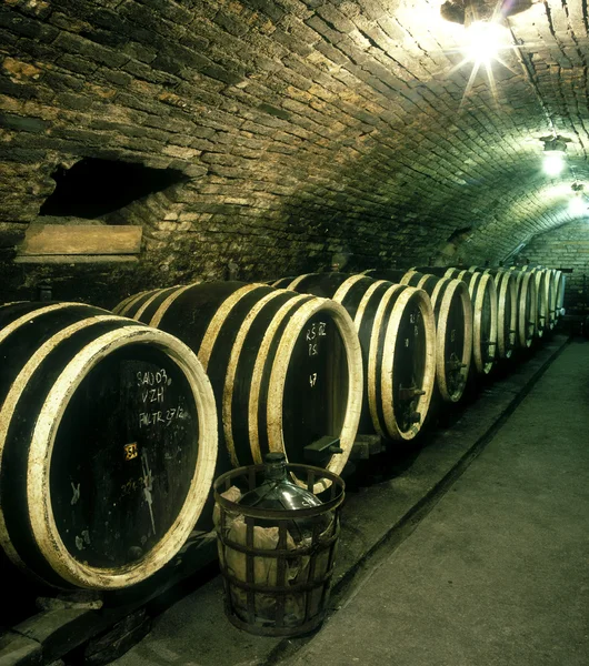 Wijnkelder, Tsjechië — Stockfoto
