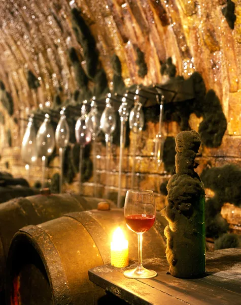 Виноробні, Чеська Республіка — стокове фото