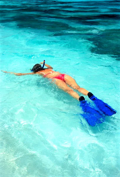 Lo snorkeling — Foto Stock