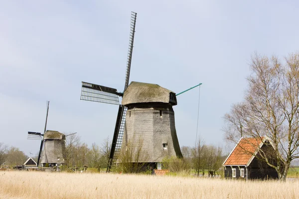 Moinhos de vento perto de Alkmaar, Países Baixos — Fotografia de Stock