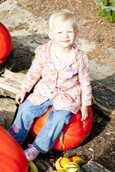 Маленькая девочка с тыквами — стоковое фото