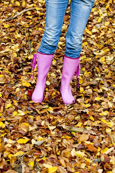 女人在秋季性质的详细信息 — 图库照片